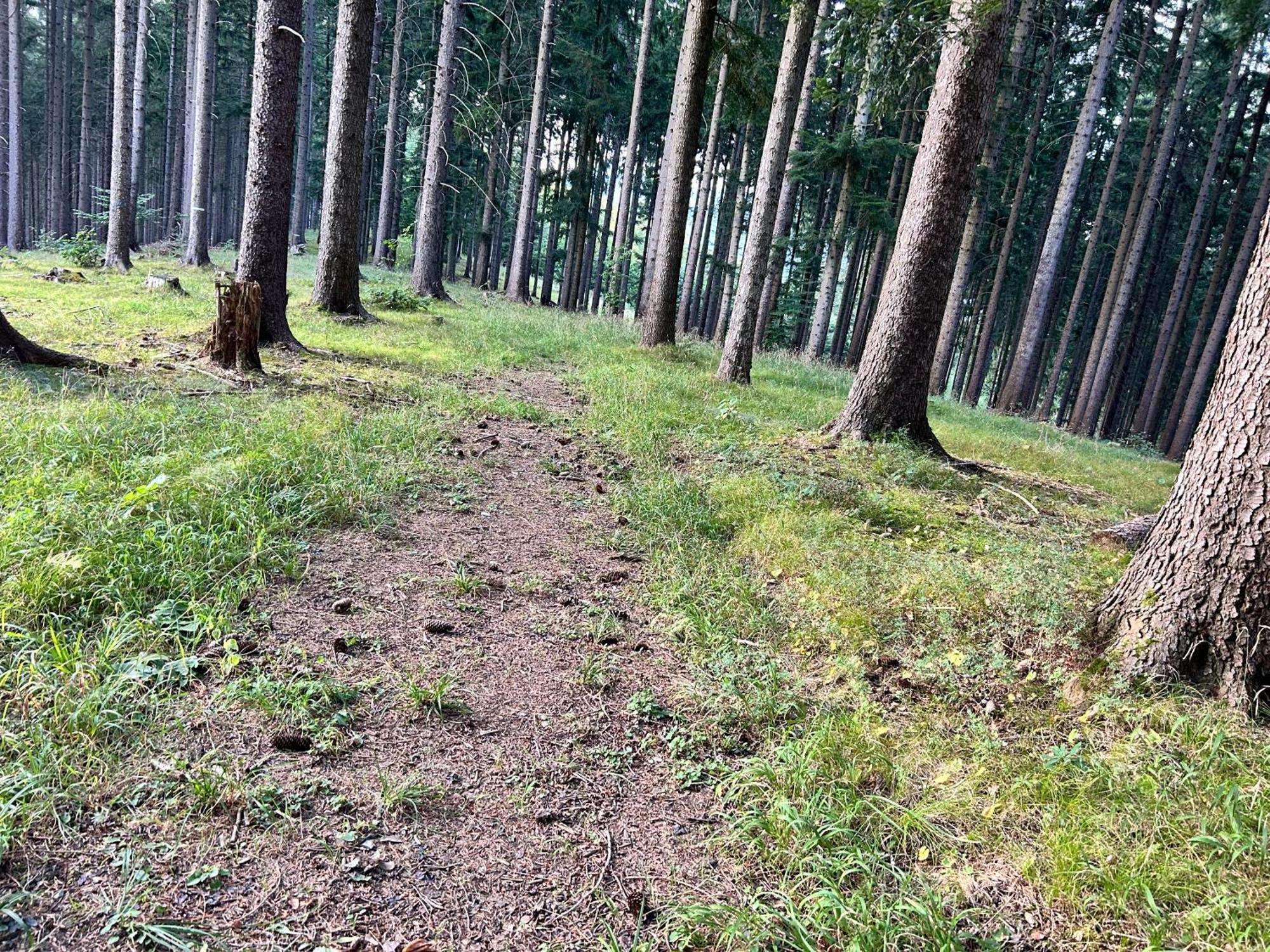 Horska Rezort Ружомберок Екстер'єр фото